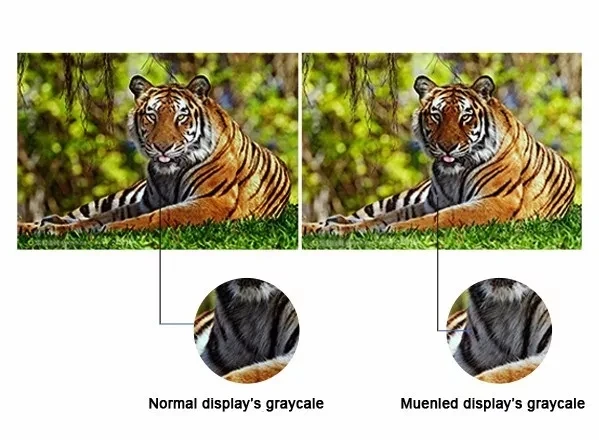 762eb2bc5640ebaa06d68f09f06eb9e8_Hadc7c4ab50bb4de2988411664fab73337_quality=close